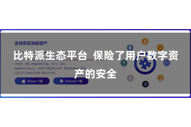 比特派生态平台  保险了用户数字资产的安全