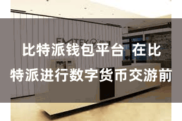 比特派钱包平台  在比特派进行数字货币交游前