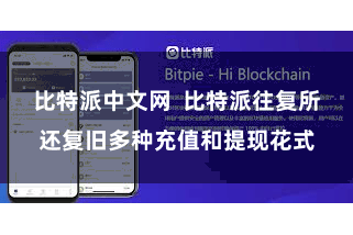 比特派中文网  比特派往复所还复旧多种充值和提现花式
