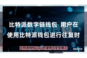 比特派数字链钱包  用户在使用比特派钱包进行往复时