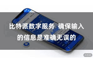 比特派数字服务  确保输入的信息是准确无误的